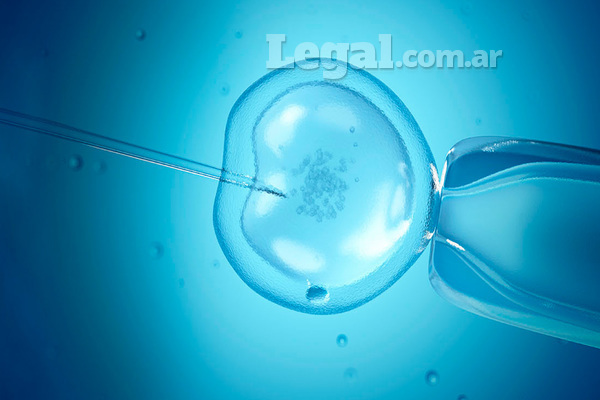 El Gobierno nacional limitó la cobertura estableciendo que el tratamiento con óvulos propios se realizará a mujeres de hasta 44 años y en el caso de óvulos donados se extenderá hasta los 51.
