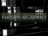 Estudio Jurídico Negri Rubino